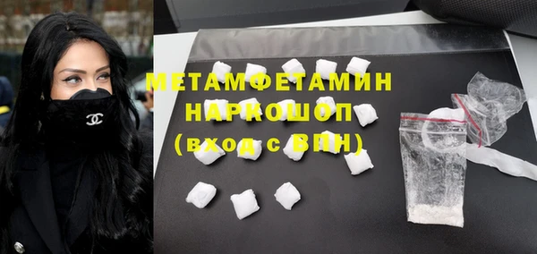 гидра Богородицк