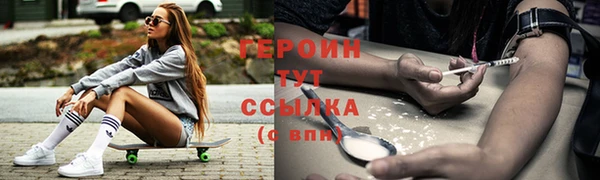 гидра Богородицк