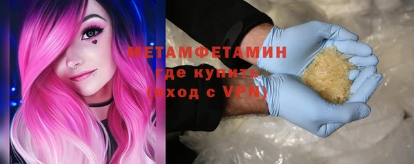 гидра Богородицк