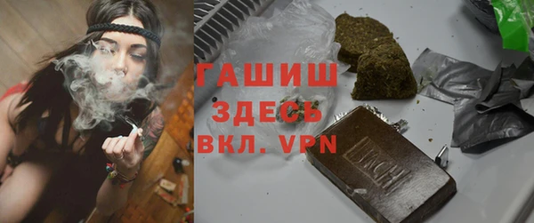 гидра Богородицк