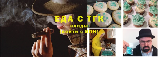 гидра Богородицк
